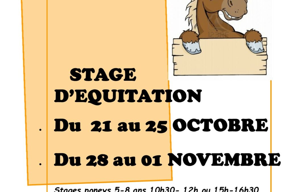 Stages équitation d’octobre 2024