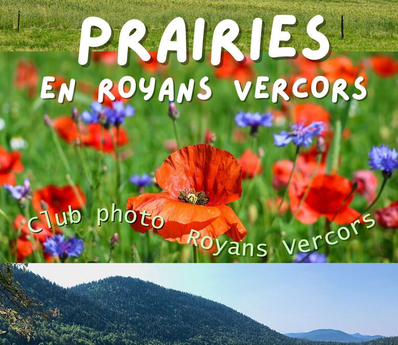 Exposition « Prairies en Royans Vercors » du 19 septembre au 23 octobre à Activ’Royans